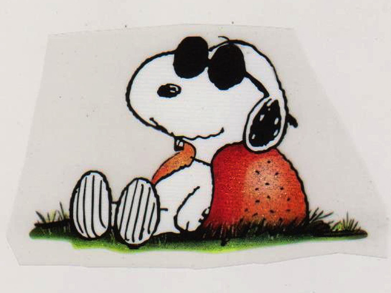 熱轉印打印頭霍爾啥意思？